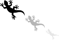 geckosgif